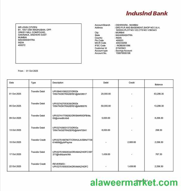 India IndusInd Bank account statement Word and PDF template