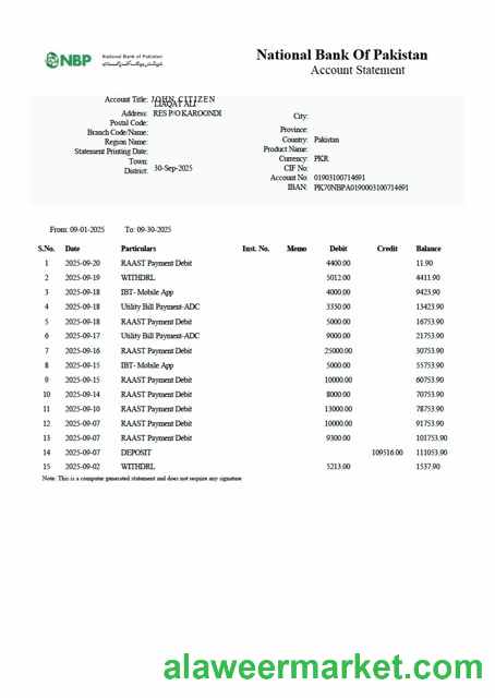 Pakistan National Bank of Pakistan account statement Word and PDF template