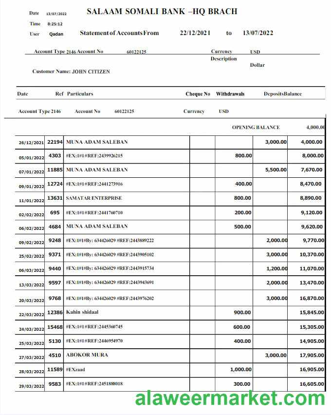 Somali Salaam Somali bank statement Word and PDF template w