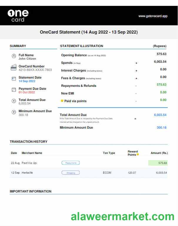 USA 1ONE CARD statement Word and PDF template