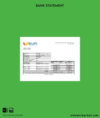 Haiti BUH Banka Hesap Özeti excel
