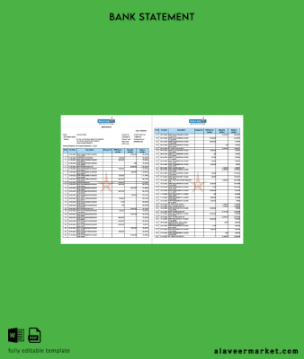 Hindistan Banka of Hindistan account Hesap Özeti word 2 pages