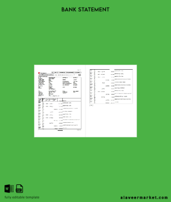 Hindistan Finacle Banka Hesap Özeti excel 2 pages