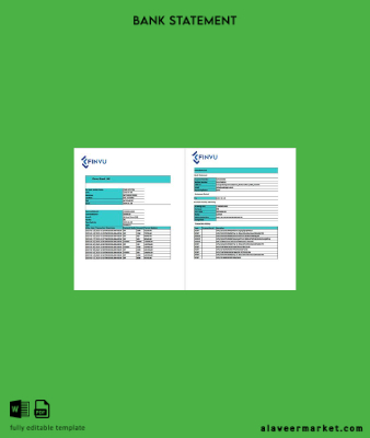 Hindistan Finvu Banka Ltd. account Hesap Özeti word 2 pages