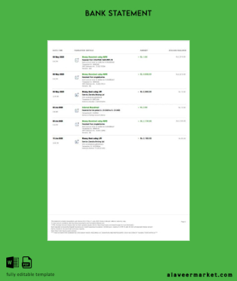 Hindistan PayTM Payments Banka account Hesap Özeti word 3 pages, 3 page