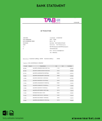 Hindistan TAB Banka Hesap Özeti word 2 pages