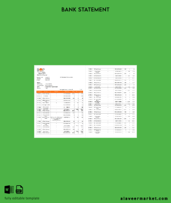 Hindistan The Banka of Punjab (BOP) account Hesap Özeti word 3 pages