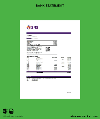 Hollanda SNS Banka Hesap Özeti excel