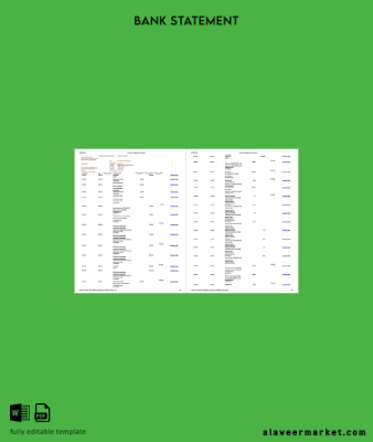 Pakistan Meezan Banka Limited account Hesap Özeti word 2 pages