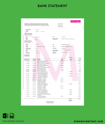 Polonya Millennium Banka Hesap Özeti word