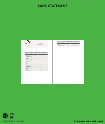 Katar QNB Hesap Özeti word 2 pages