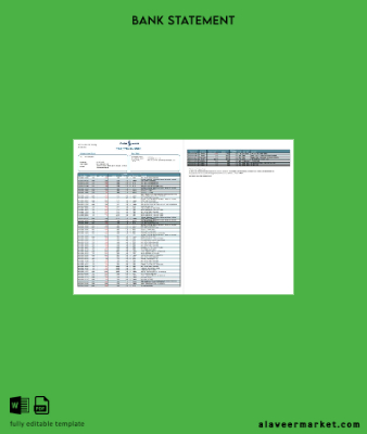 Türkiye Banka Banka Hesap Özeti word 2 pages