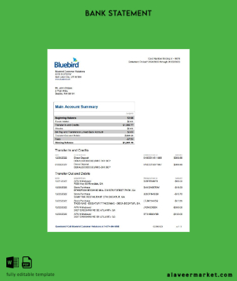 USA Bluebird Banka Hesap Özeti word 3 pages