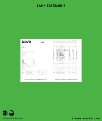 USA Dave Banka account Hesap Özeti word 5 pages