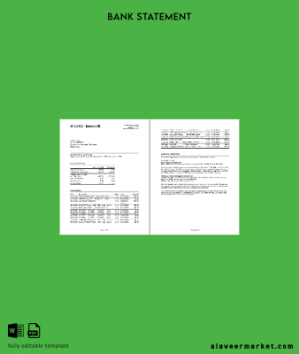 USA Meta Banka Kart Hesap Özeti word 2 pages