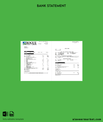 USA Oregon Rogue Banka Hesap Özeti word 3 pages