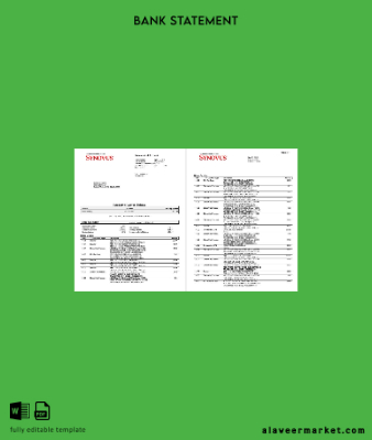 USA Banka Hesap Özeti word 4 pages