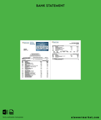 USA TrueCore Federal Kredi Union account Hesap Özeti word 2 pages