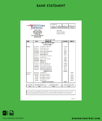 USA University of Southern Hindistan Banka Hesap Özeti excel
