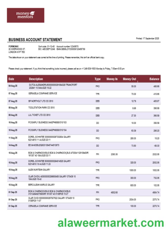Canadian Money Mentors (MM) business organization checking statement Word and PDF format