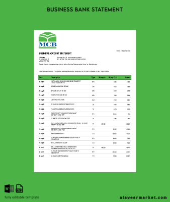 Pakistan MCB İşletme checking account Hesap Özeti Word and PDF Şablon