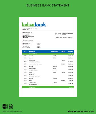 USA Belize Banka organization account Hesap Özeti Word and PDF Şablon