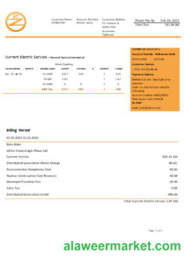 Barqi Tojik Company electricity business bill, SCR