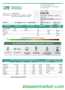 CFE electricity utility business bill, SCR