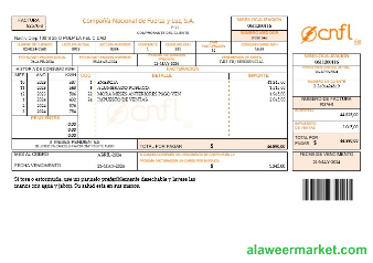 Costa Rica Compania Nacional de Fuerza y Luz, S A CNFL business utility bill in word and pdf formats