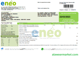 ENEO electricity utility business bill, SCR