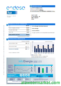 Endesa luz utility business bill SCR
