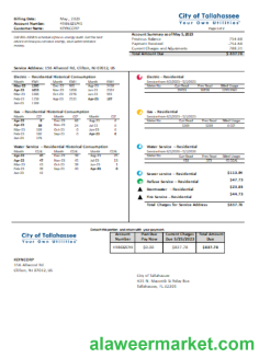Florida City of Tallahassee Florida Your Own Utilities business bill, SCR