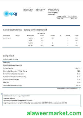 Montenegro Elektroprivreda Crne Gore (EPCG) electricity business utility bill template in Word and PDF formats(1)