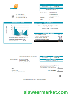 New Mexico PNM easy fillable utility business bill, SCR