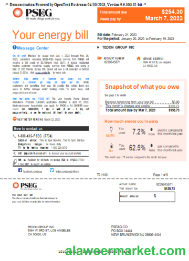 New York PSEG utility business bill, page 1, SCR