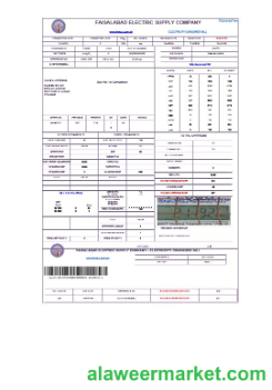 PAKISTAN FAISALABAD business utility bill Word and PDF template