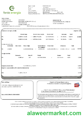 Spain Fen_e Energ_a business utility bill template in Word and PDF formats