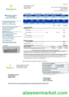 USA Texas TriEagle business utility bill template in Word and PDF formats