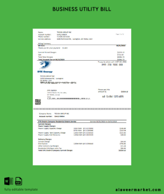 DTE Energy Fatura İşletme Fatura page 1