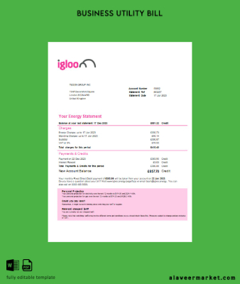 Igloo Energy Fatura İşletme Fatura