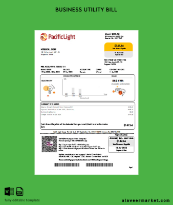 Pacific Light Elektrik Fatura İşletme Fatura