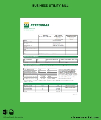 Petrobras Paraguay Operations and Logistics Gaz Şirket Fatura İşletme Fatura