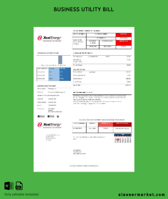 USA Colorado XcelEnergy Elektrik İşletme Fatura Fatura version 3