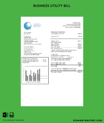 USA Connecticut Light & Power Elektrik İşletme Fatura Fatura
