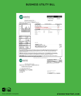 USA Craighead Electric İşletme Fatura Fatura