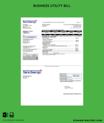 USA Texas Tara Energy İşletme Fatura Fatura