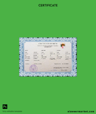 Cezayir vital record birth Sertifika PSD Şablon
