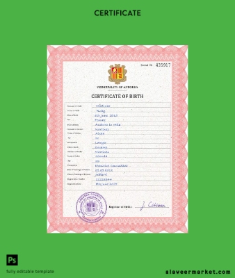Andorra vital record birth Sertifika PSD Şablon