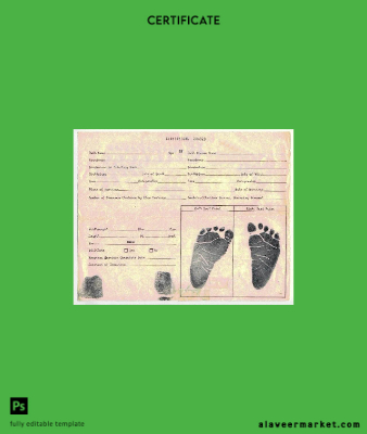 Sertifika of birth statistical record