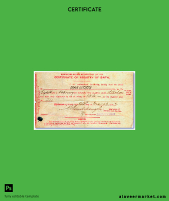 England Registrar of Births and Deaths birth Sertifika